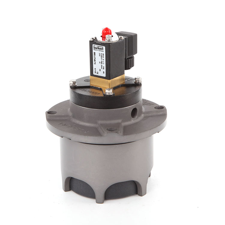 Hava Temizleme Solenoid Valfi